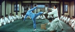 Лучшие в искусстве борьбы / The Best of the Martial Arts Films [1992]