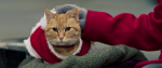 Скачать фильм Рождество кота Боба (2020)