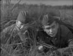 Скачать фильм Максим Перепелица (1955)