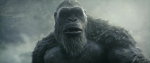  turbobit   :   / Godzilla x Kong: The New Empire (2024)