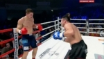 Бои без правил: MMA, К-1 Fight Nights. Битва под Москвой 9 [2012] SATRip